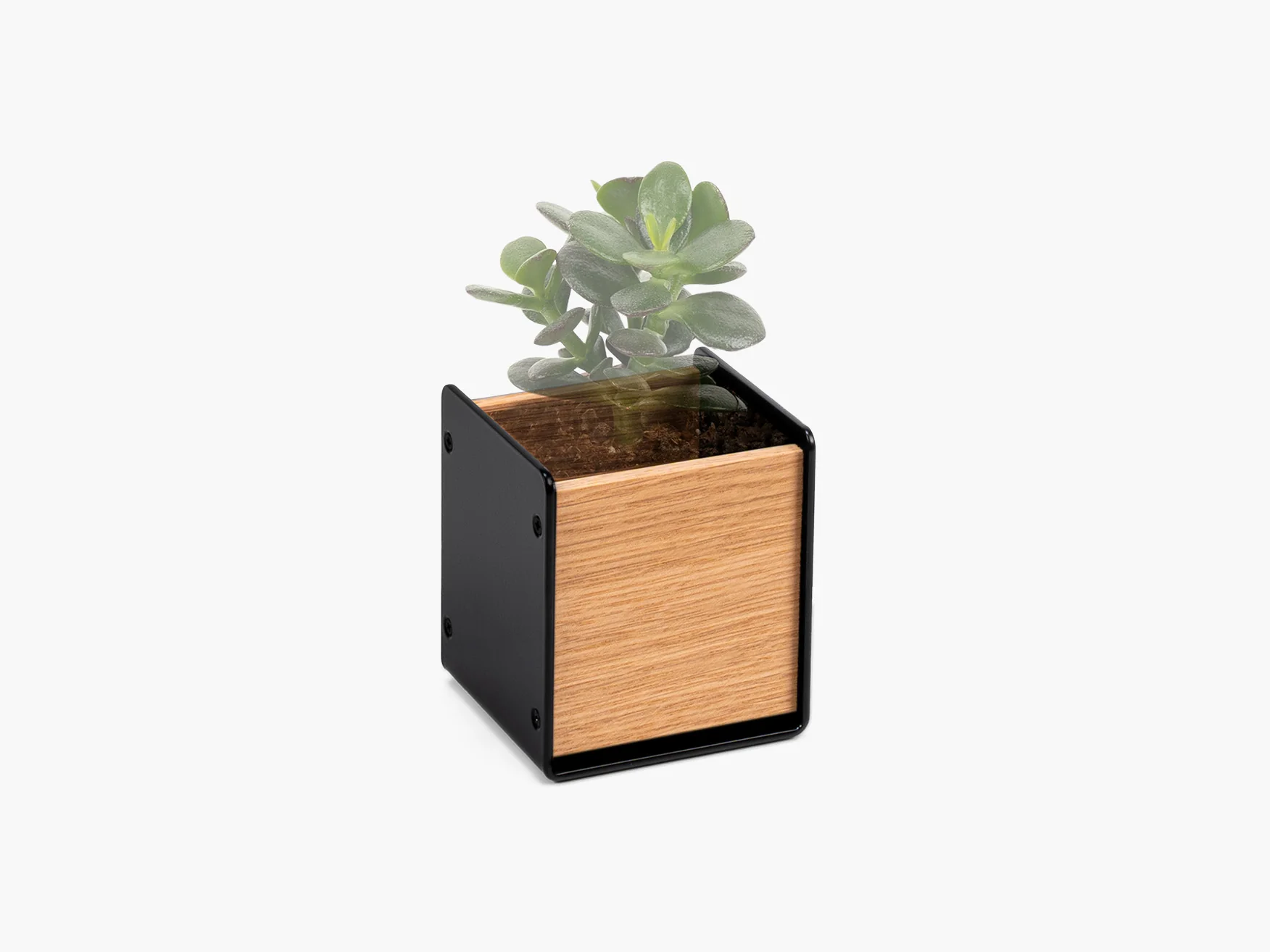 Planter - Image 4