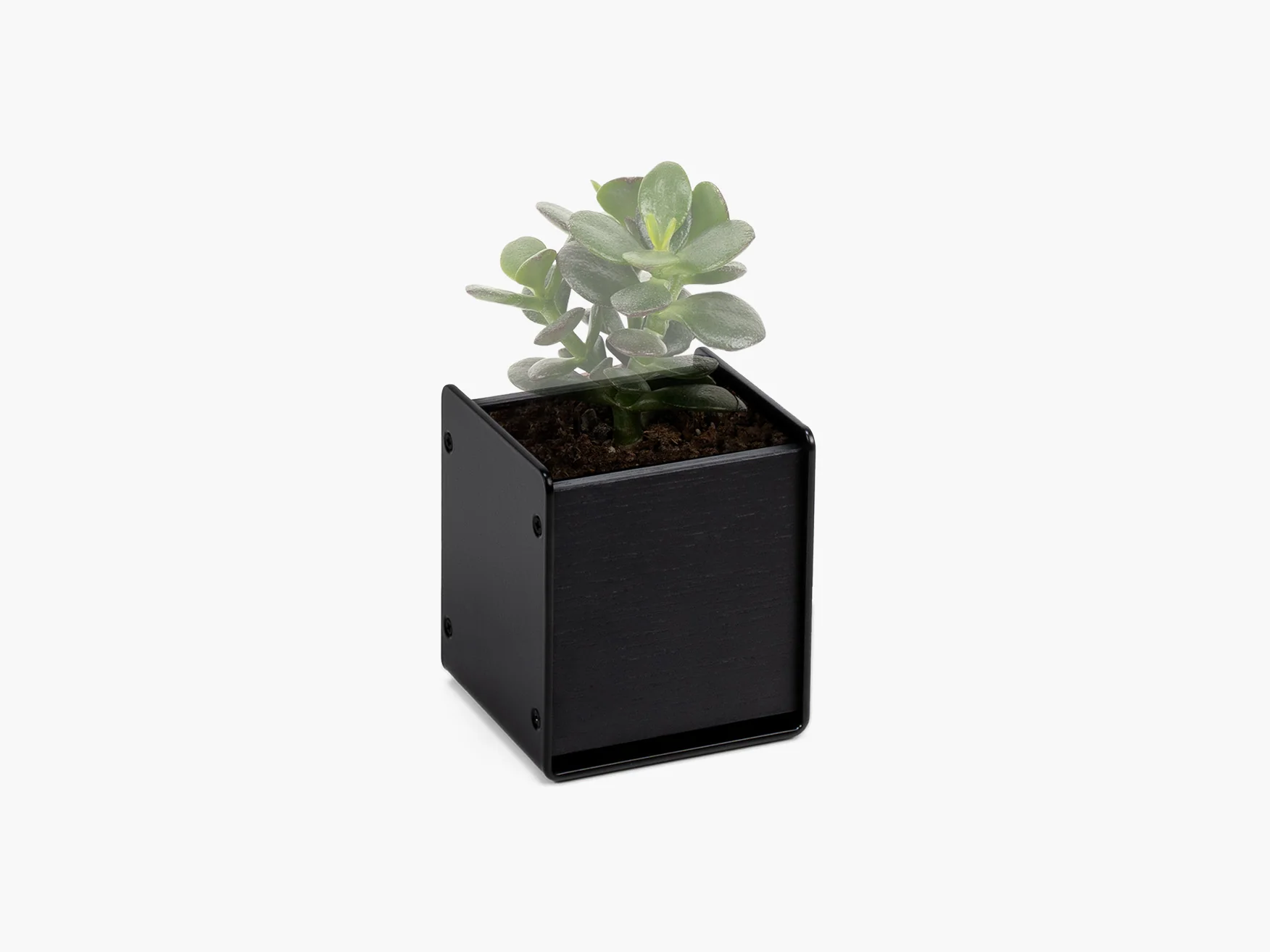 Planter - Image 7